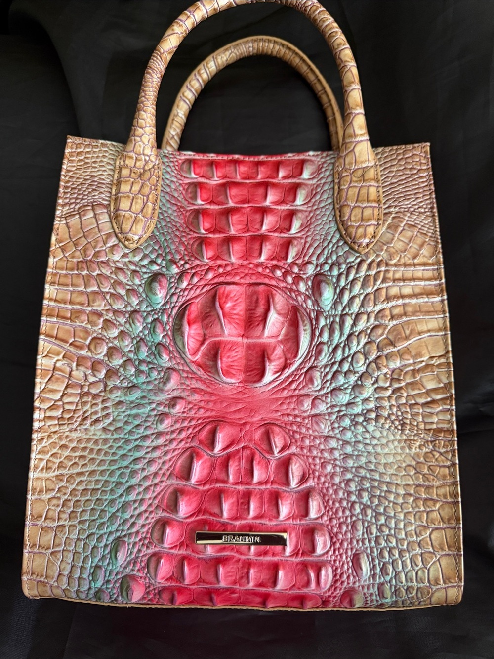 Brahmin Moira Lakeridge Multi Croc-Embossed Leather Satchel w/ Dust Bag & Card